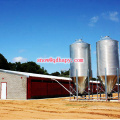 Poultry Equipment in Livestock with Prefab House Construction in High Quality